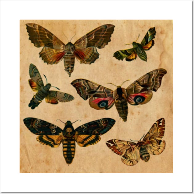 Elegan Butterflies Wall Art by My Artsam